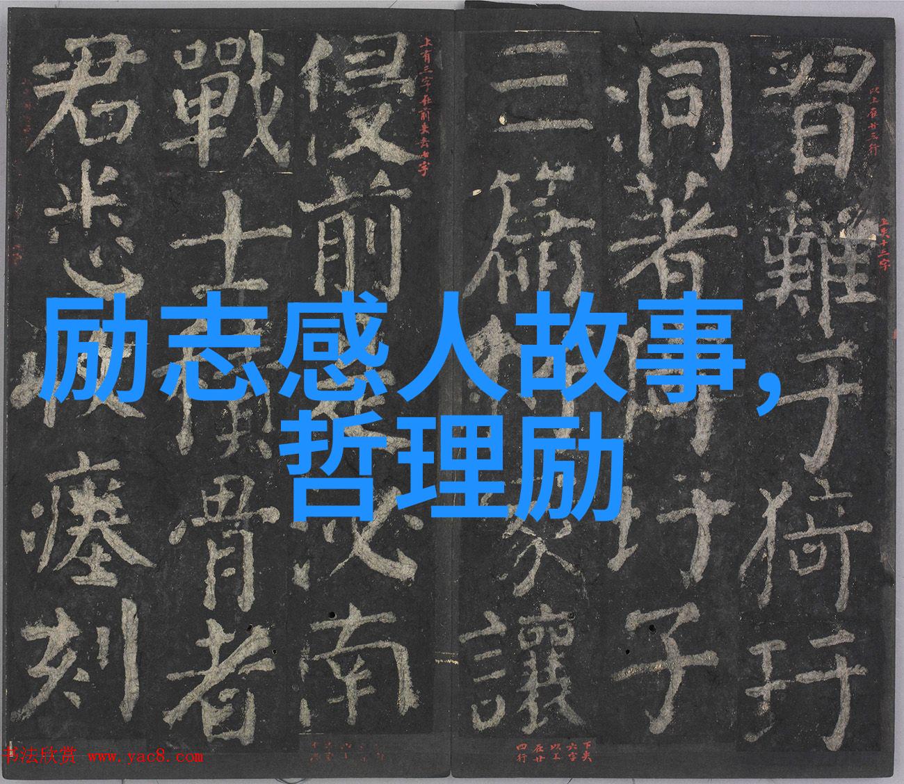 关于追求理想的名言