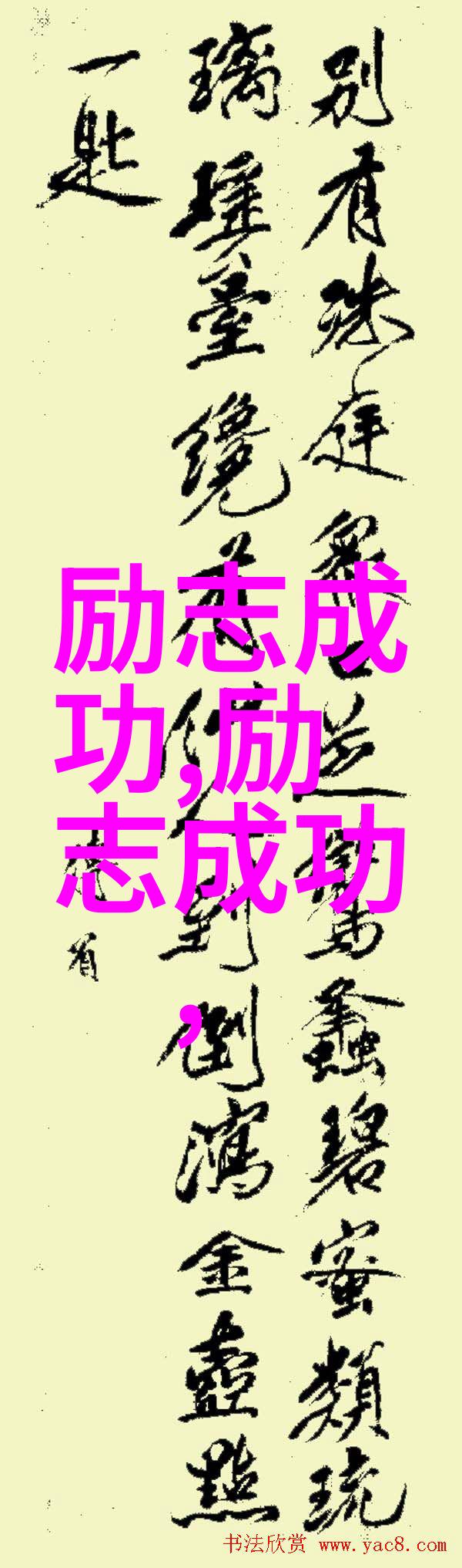 瑜伽无遮探索没有罩子的老师背后的故事