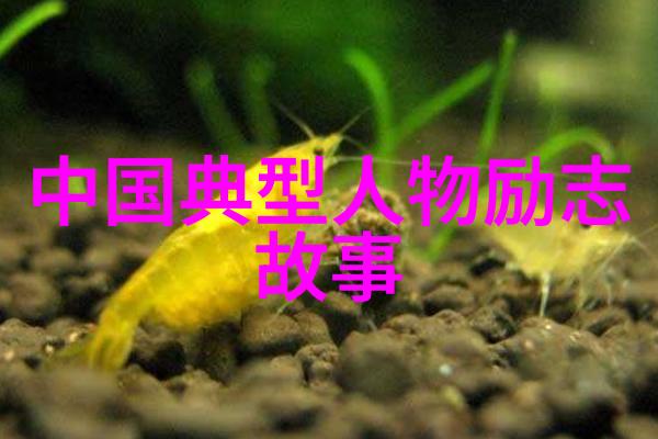 觉醒年代经典语录摘抄 - 李白的诗行与人生智慧