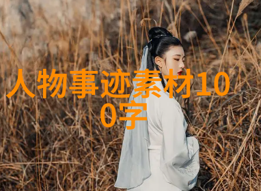 励志名人偶像 - 逆袭女王李雷的成功之旅