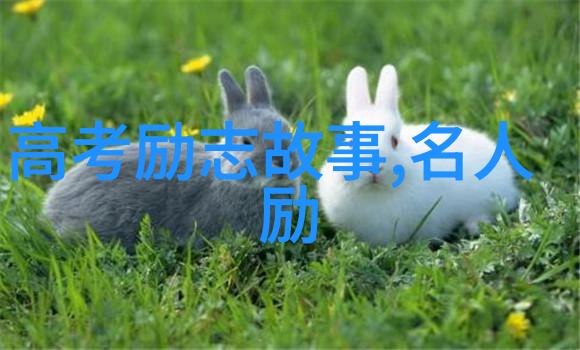 婆媳关系和谐的优秀做法婆媳的战国时代42集解析通过物品共享增进感情