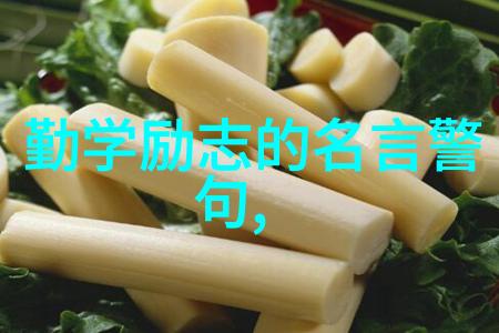 2021年简短人物事迹-逆境中的闪光2021年度杰出人士故事集