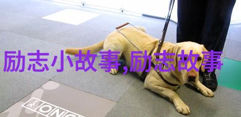 教室禁止高声喧哗标语