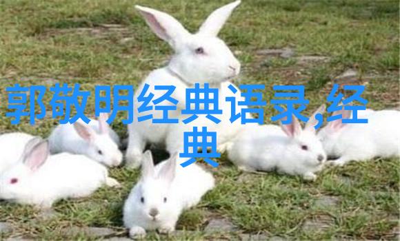 中华英杰录中国伟人事迹简述