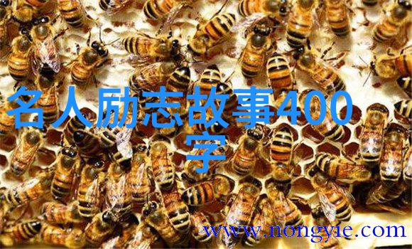 正能量小视频创作挑战100个灵感点燃希望的火花
